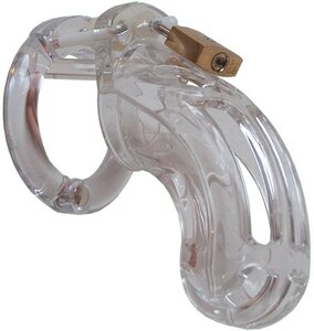 The Curve Chastity Cage