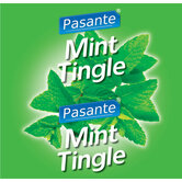 Pasante-Mint-Flavour-Condooms-144-stuks